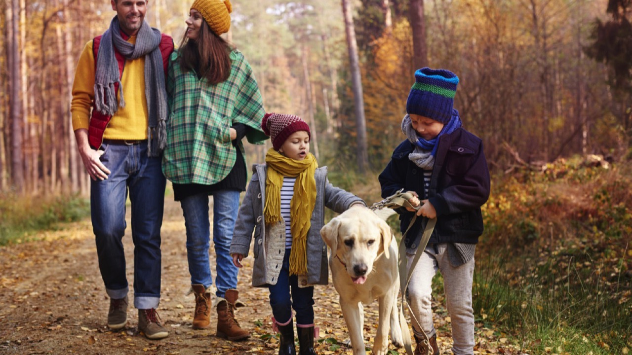 Family going for walk with dog