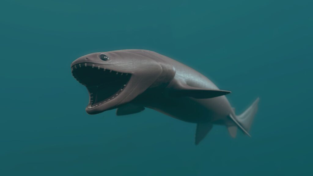 Frilled-Shark