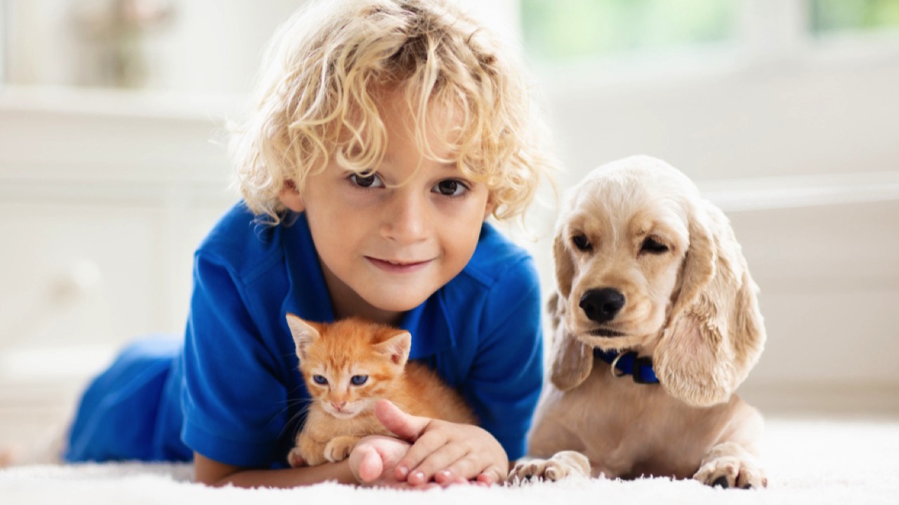 Boy with dog and cat