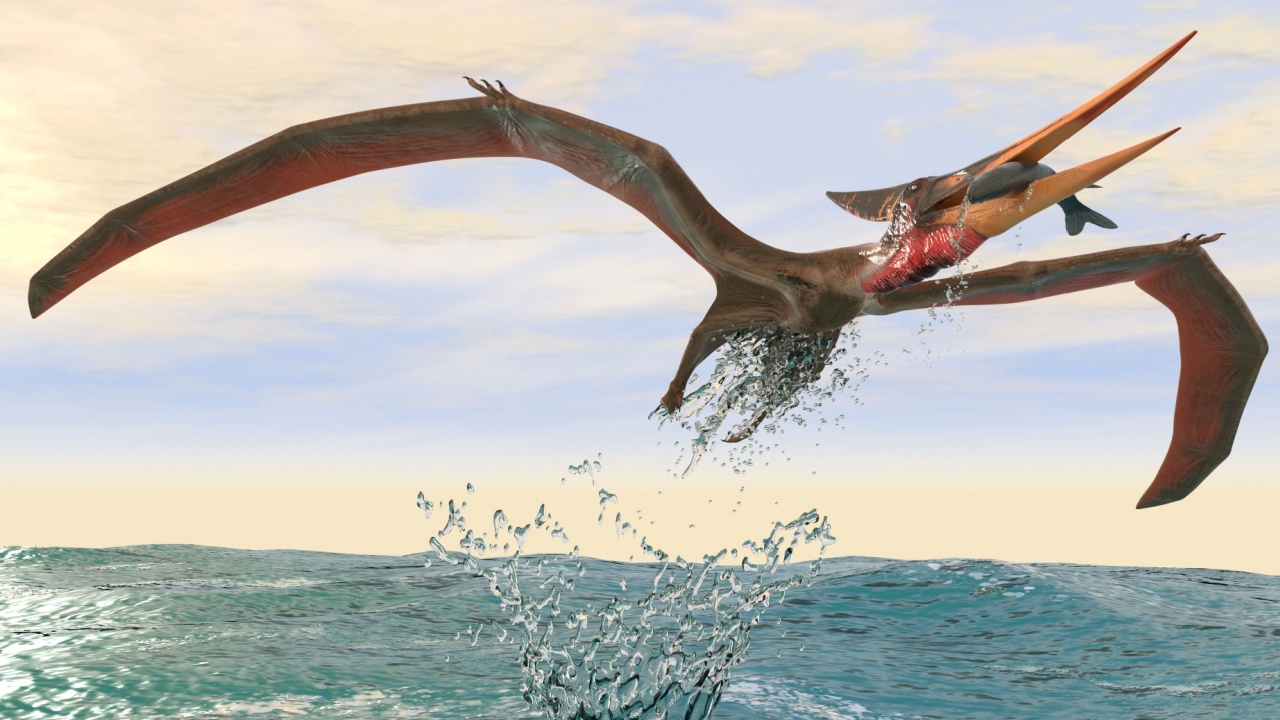 Pterosaurs