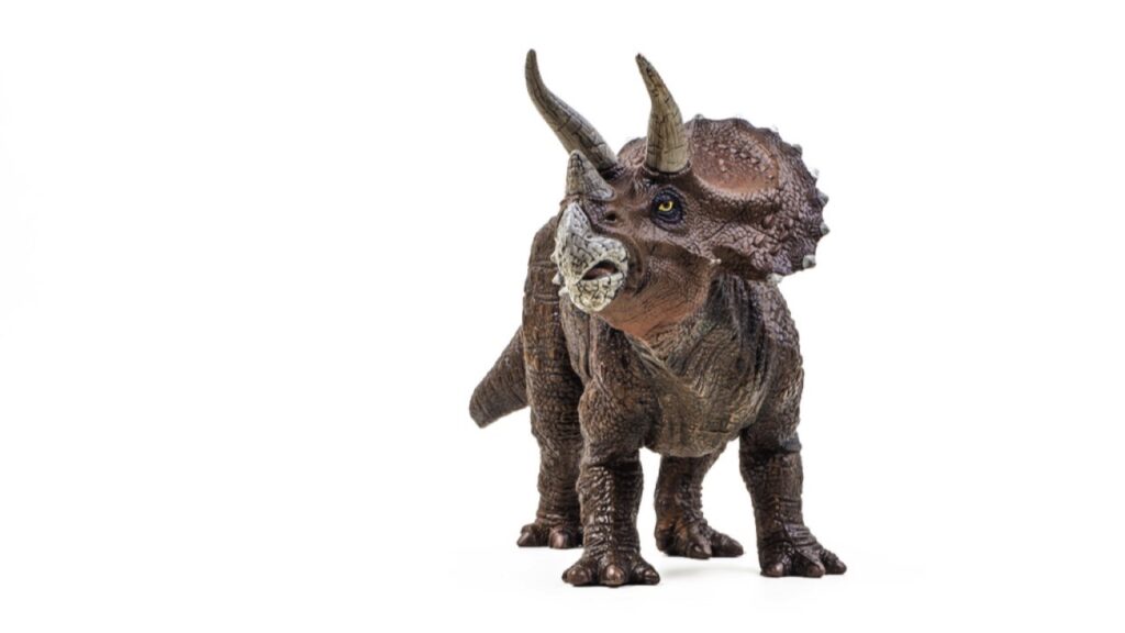 Triceratops dinosaur