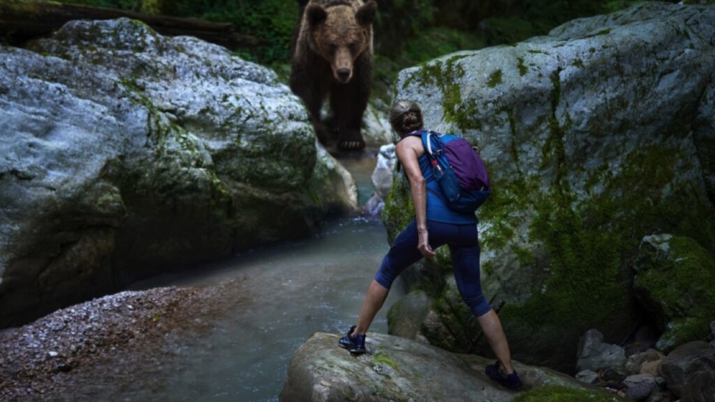 Woman-unexpected-encounter-by-bear