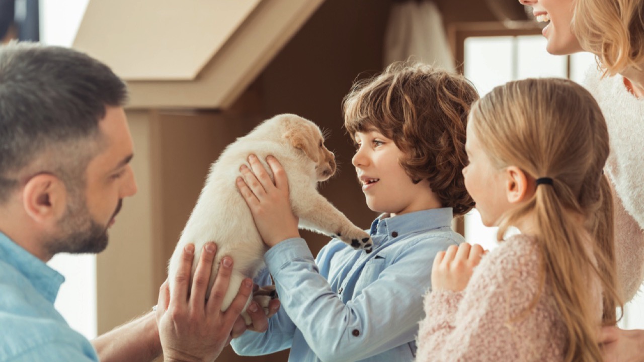 Dad gifting puppy