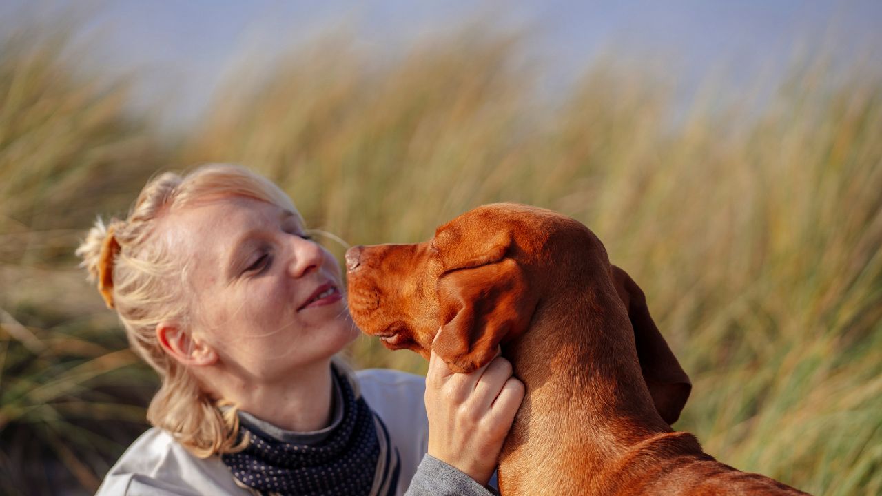 Woman kissing dog