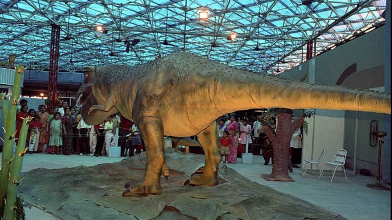 T rex in museum