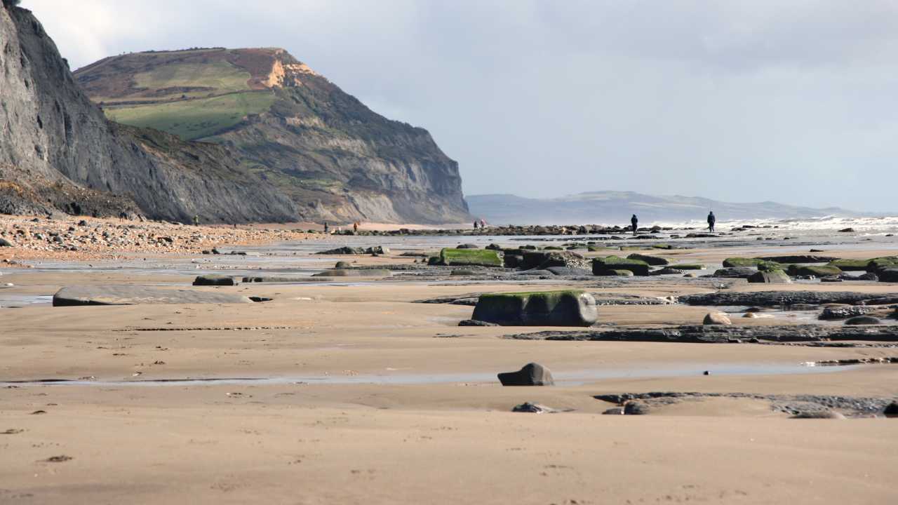 Charmouth Beach