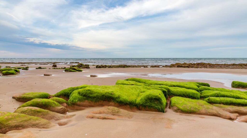 Compton Bay, Isle of Wight