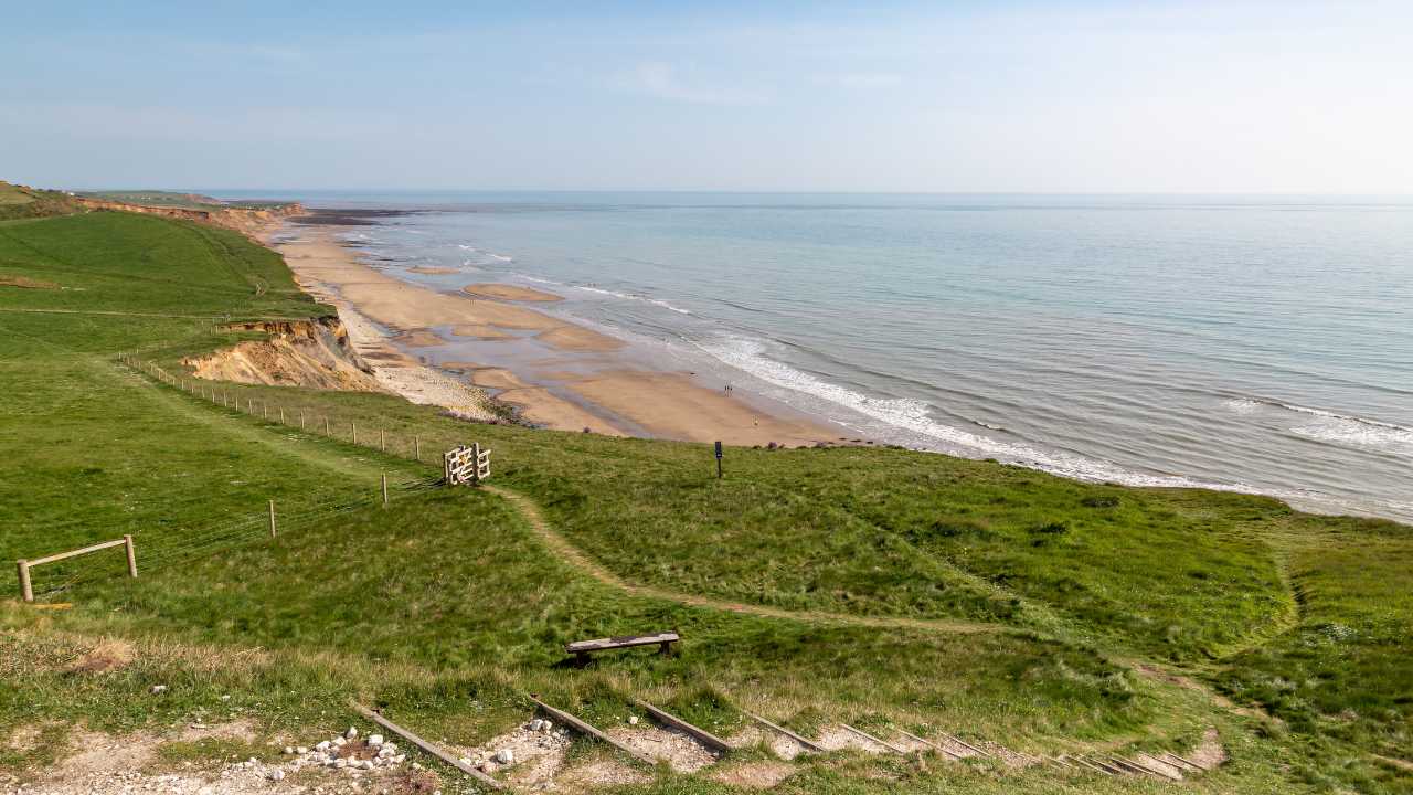 12 Best UK Beaches for Fossil Hunting - Outlandish Owl