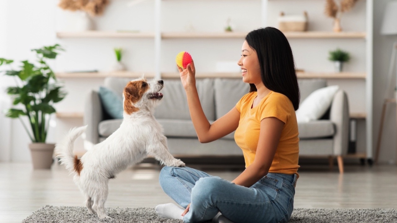 WOman playing with dog