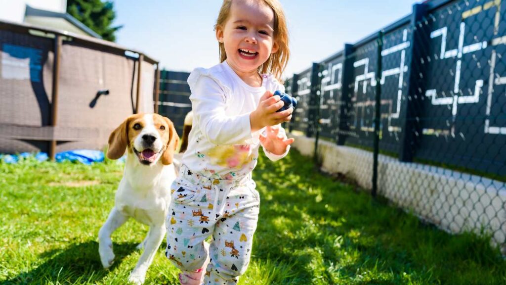 Kid playing with dog