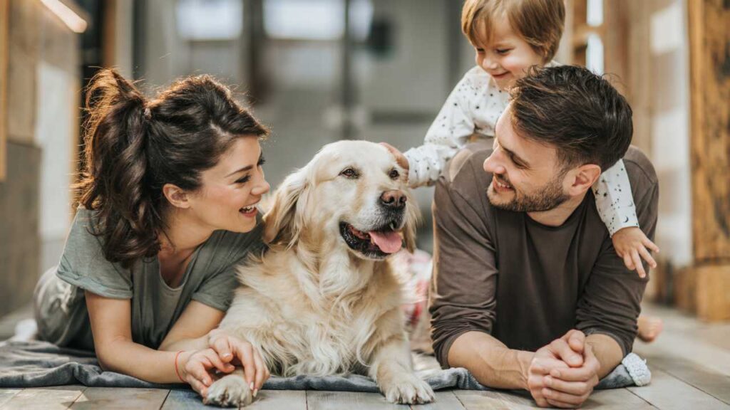 Dog with family