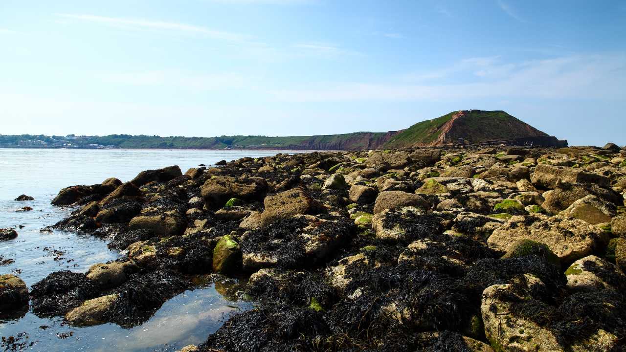 Filey Brigg, North Yorkshire