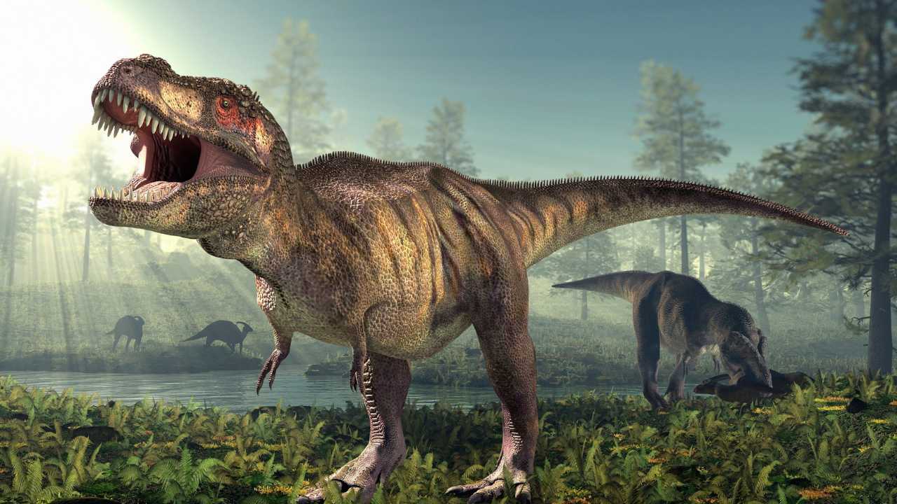 T rex with other dinosaur