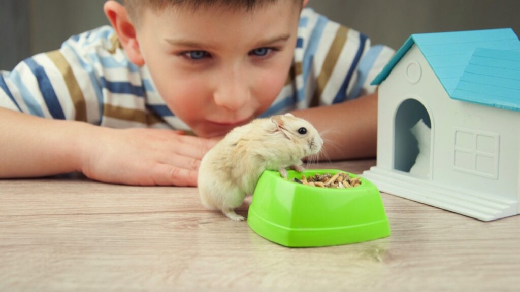 Little boy with hamster