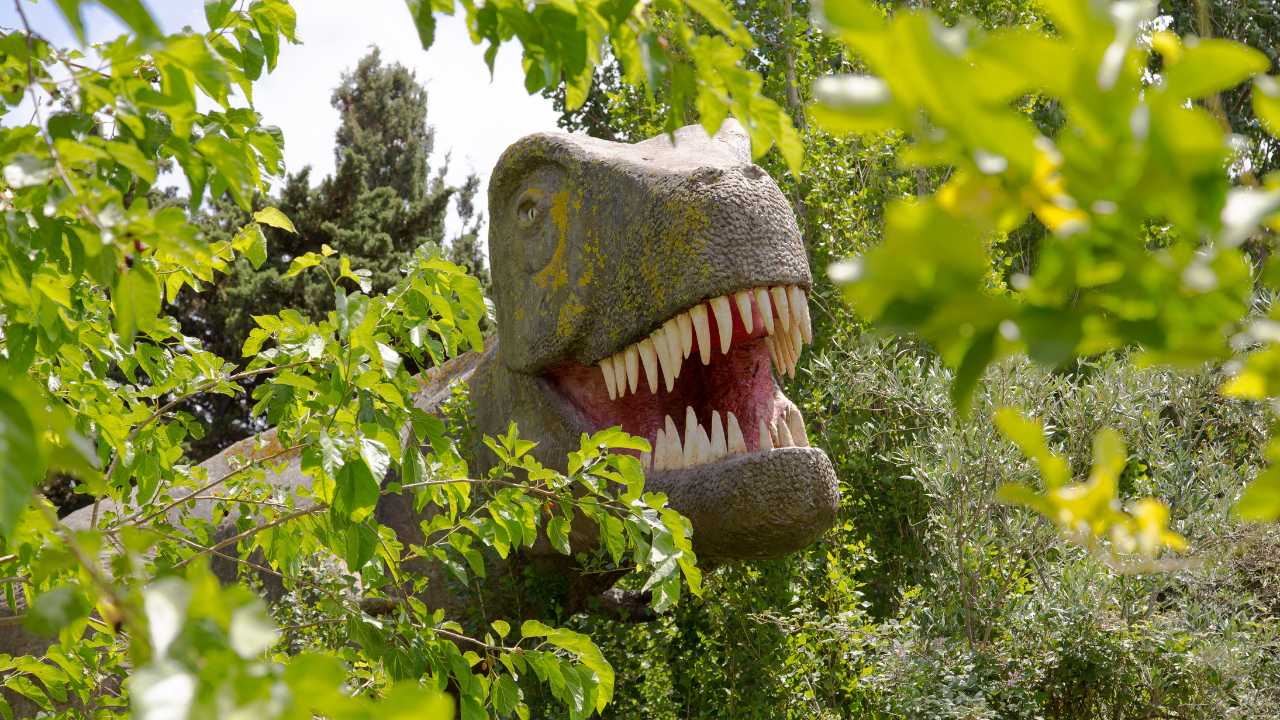 T rex in forest