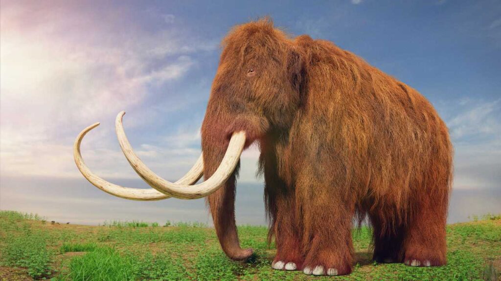 Prehistoric Woolly Mammoth ⁠