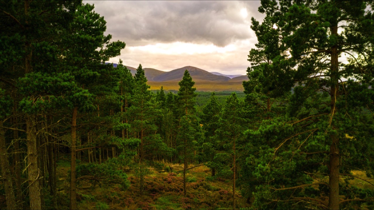 Cairngorms National Park 