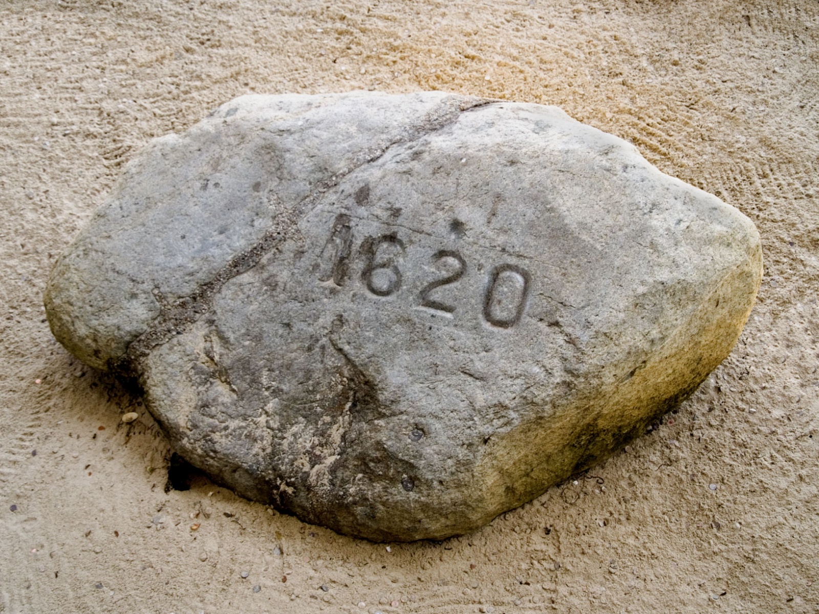 Plymouth Rock