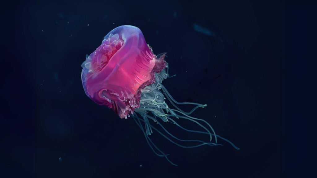 Pink Jellyfish