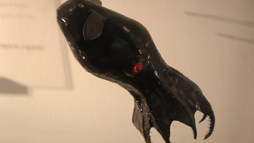 Vampire Squid 