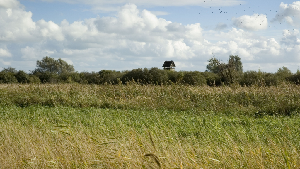 Fenlands