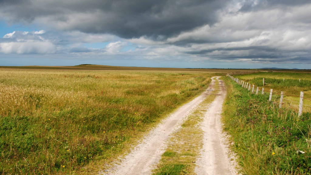 Machair