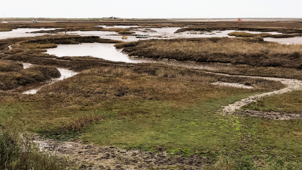 Salt Marsh