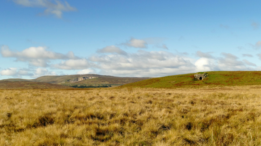 Blanket Bog