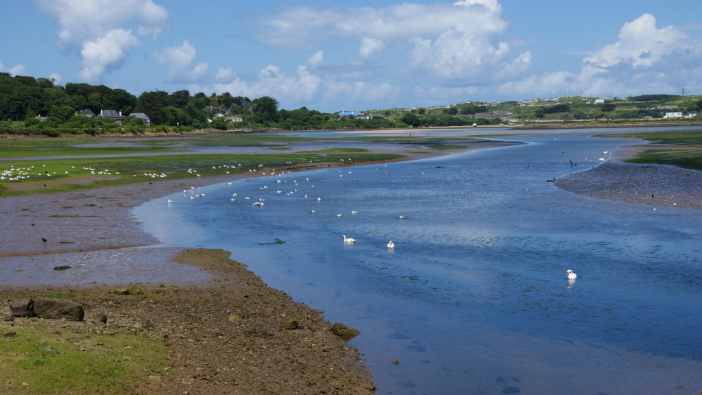 Estuaries