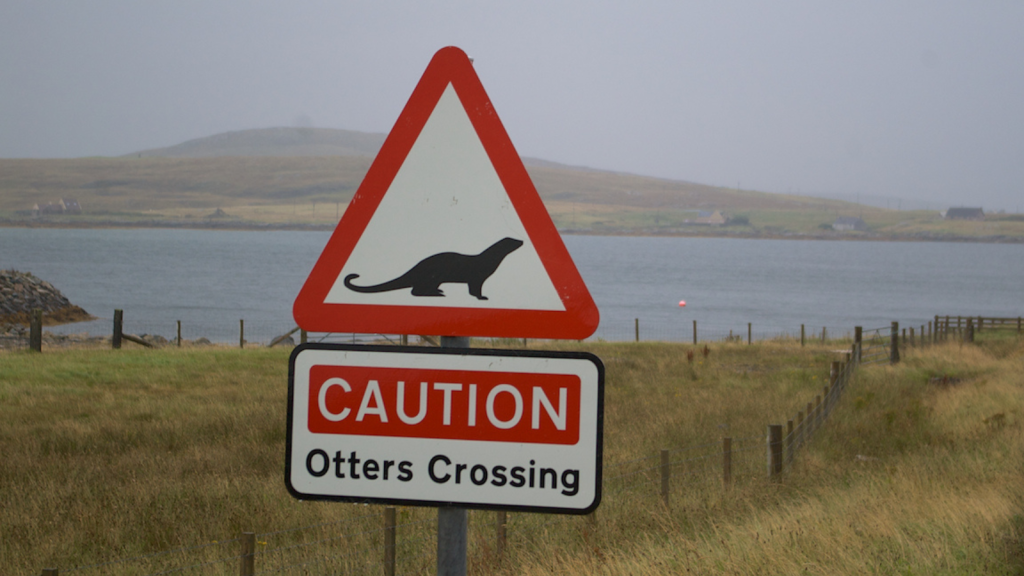 Otter | Legal Protection