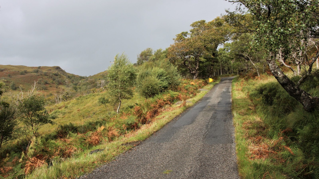 Upland Oak Woodland