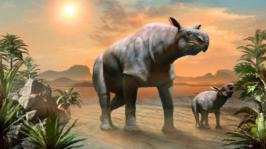 Paraceratherium