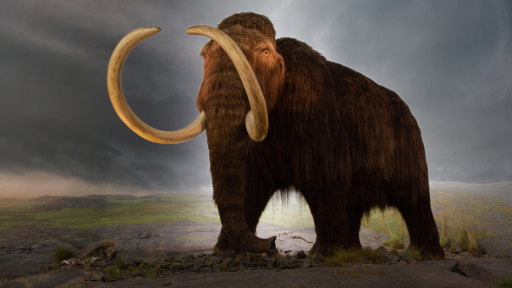 Woolly Mammoth