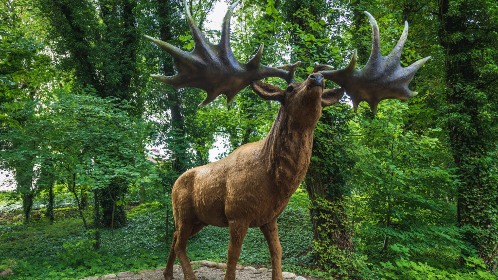 Megaloceros Giganteus