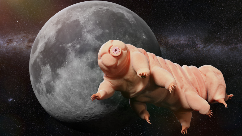 Tardigrade