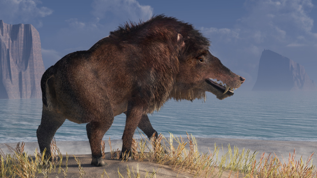 Andrewsarchus