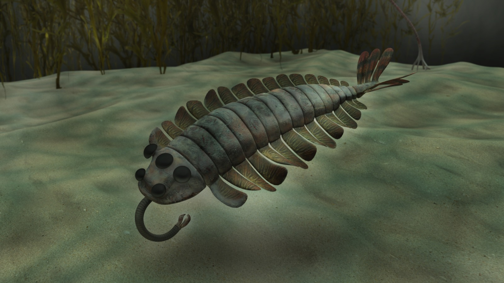 Opabinia