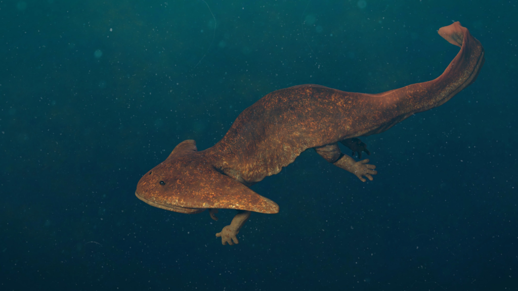 Diplocaulus