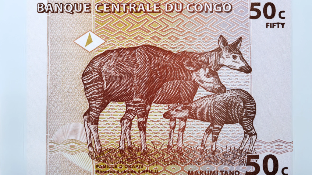 Congolese Franc Banknote